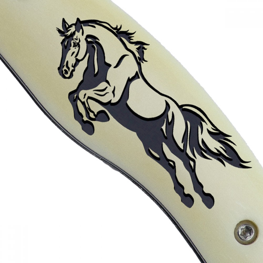 Jumping horse