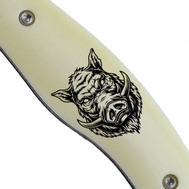 Boar