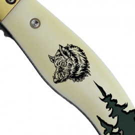 Boar
