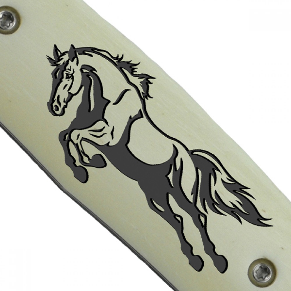 Jumping horse