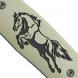 Jumping horse