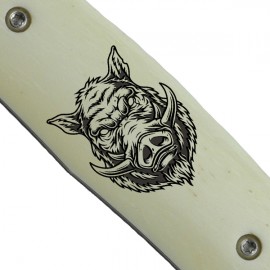 Boar