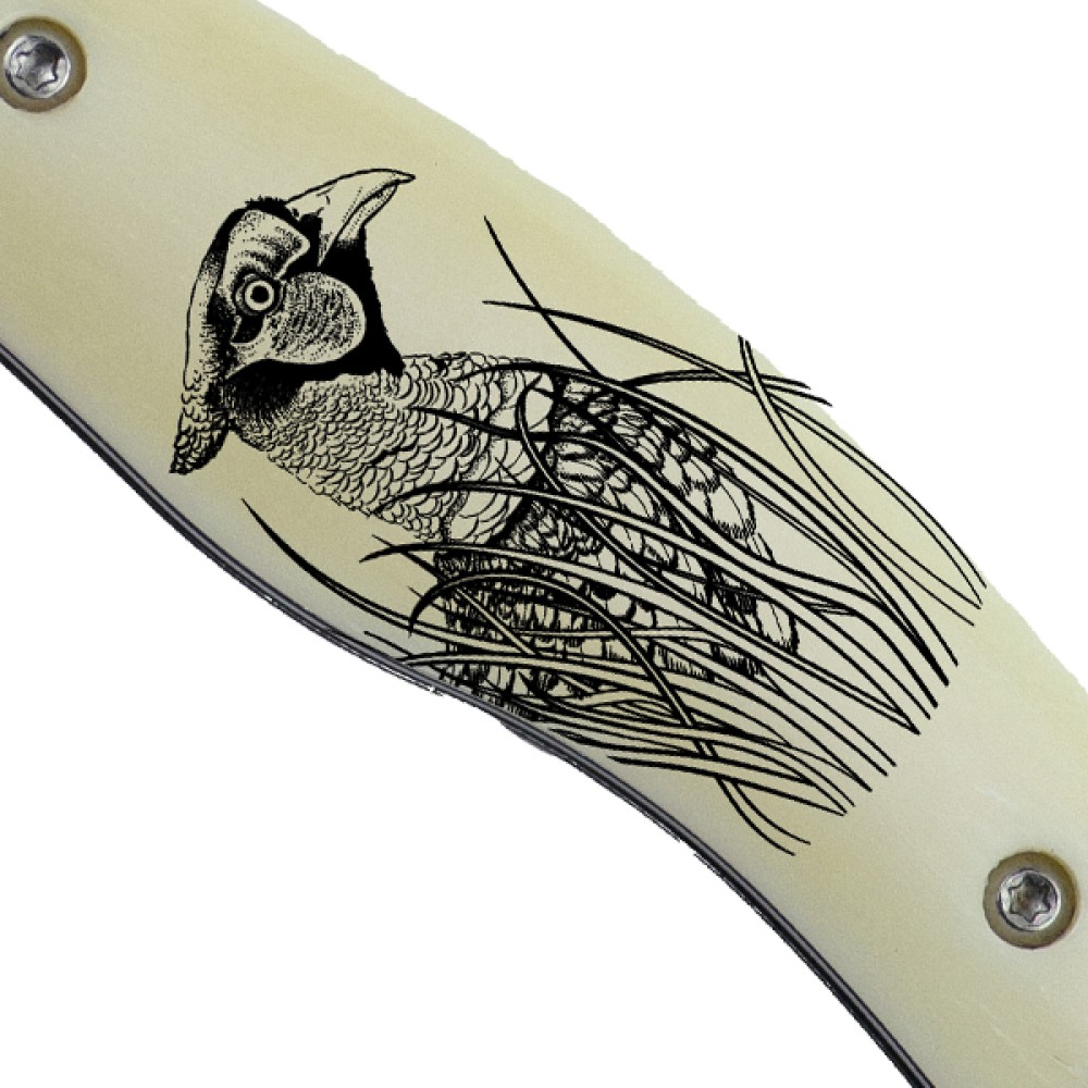 Pheasant