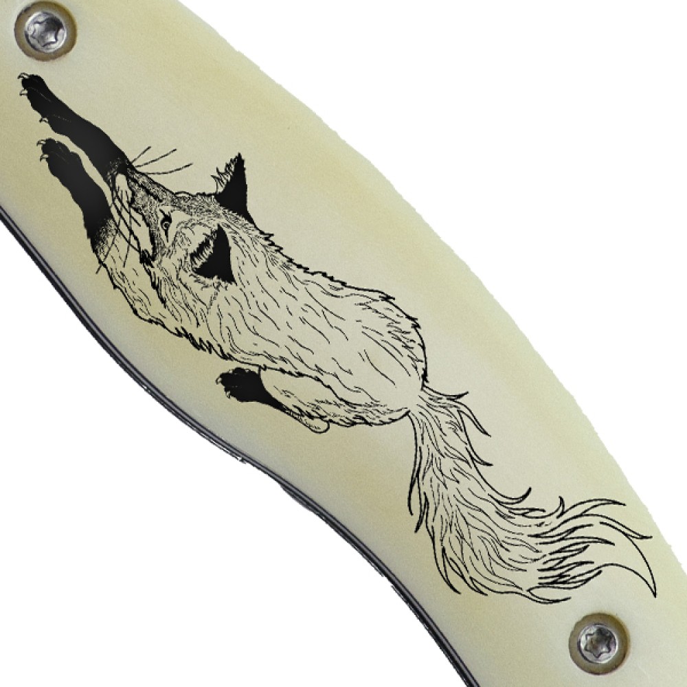 Fox