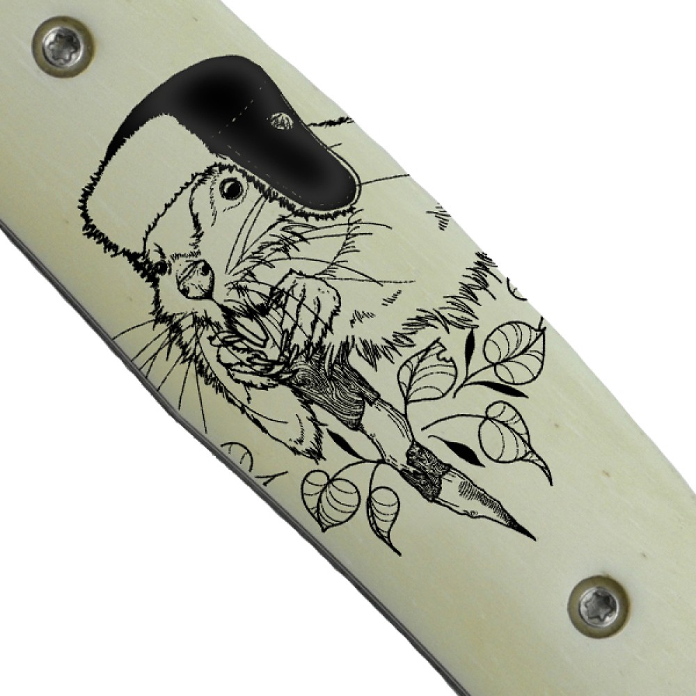 Beaver