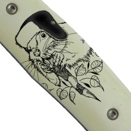 Beaver
