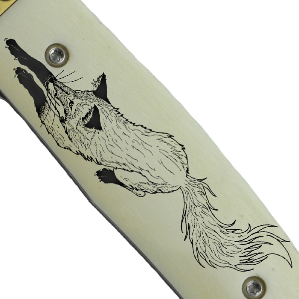 Fox