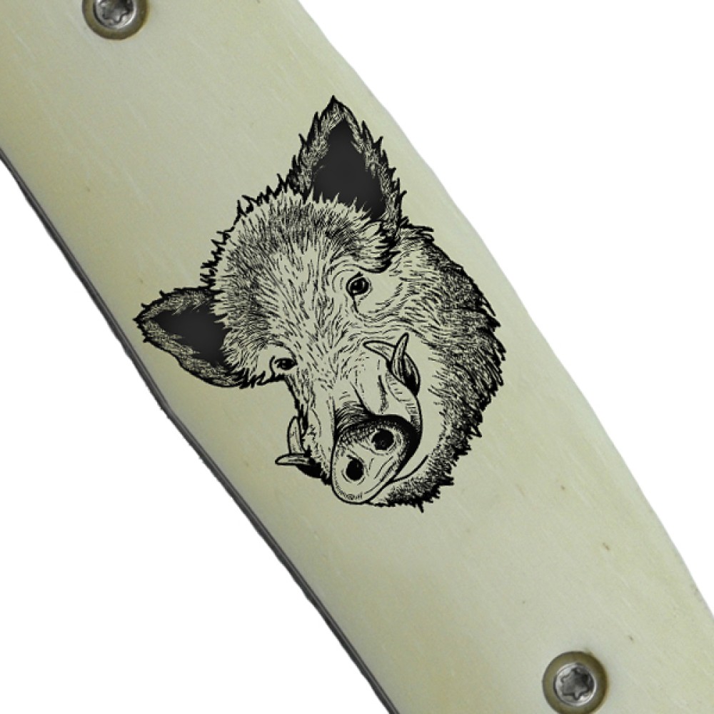 Boar 
