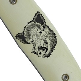 Boar 